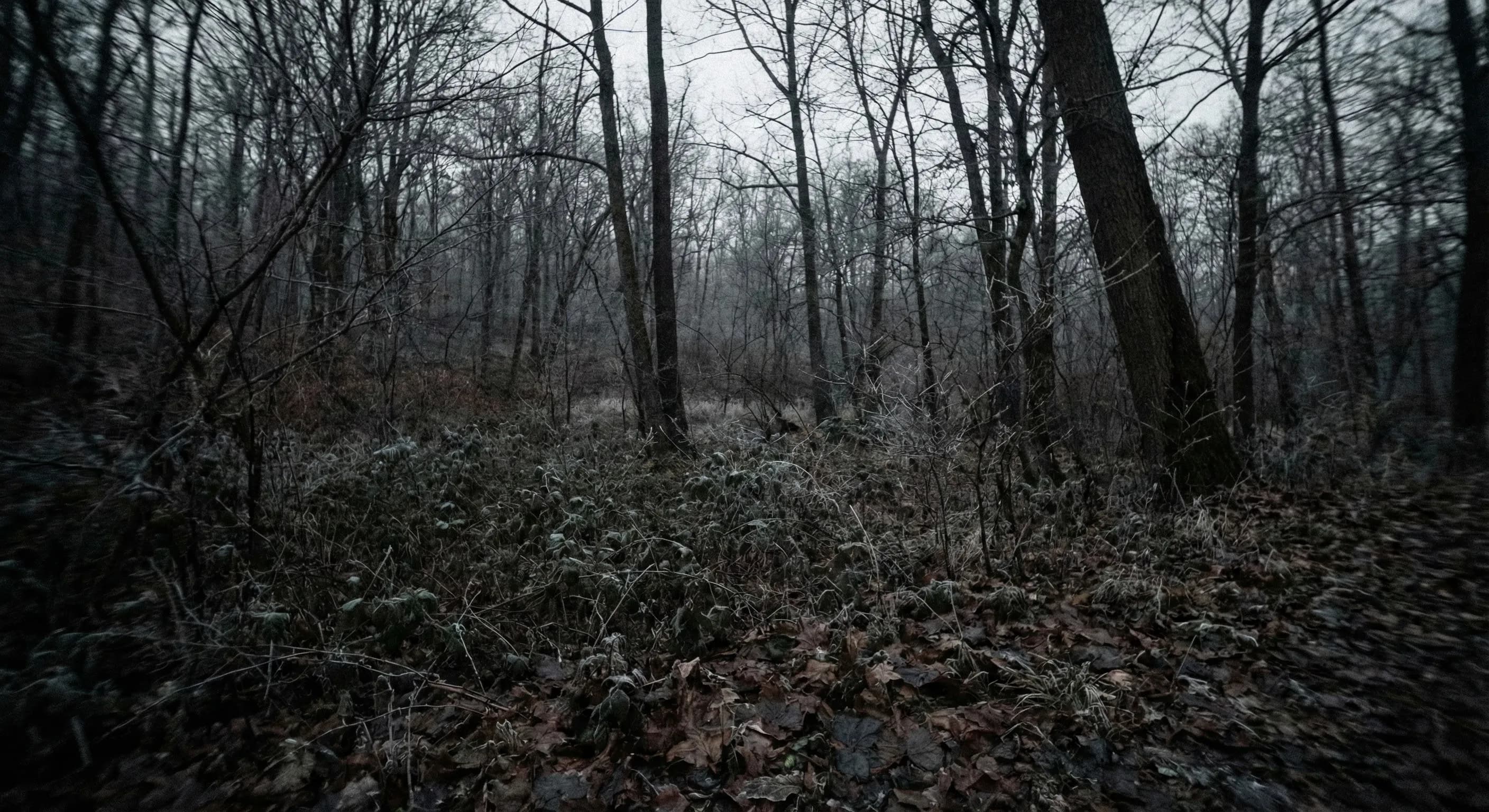 Leakin Parks tavse vidner